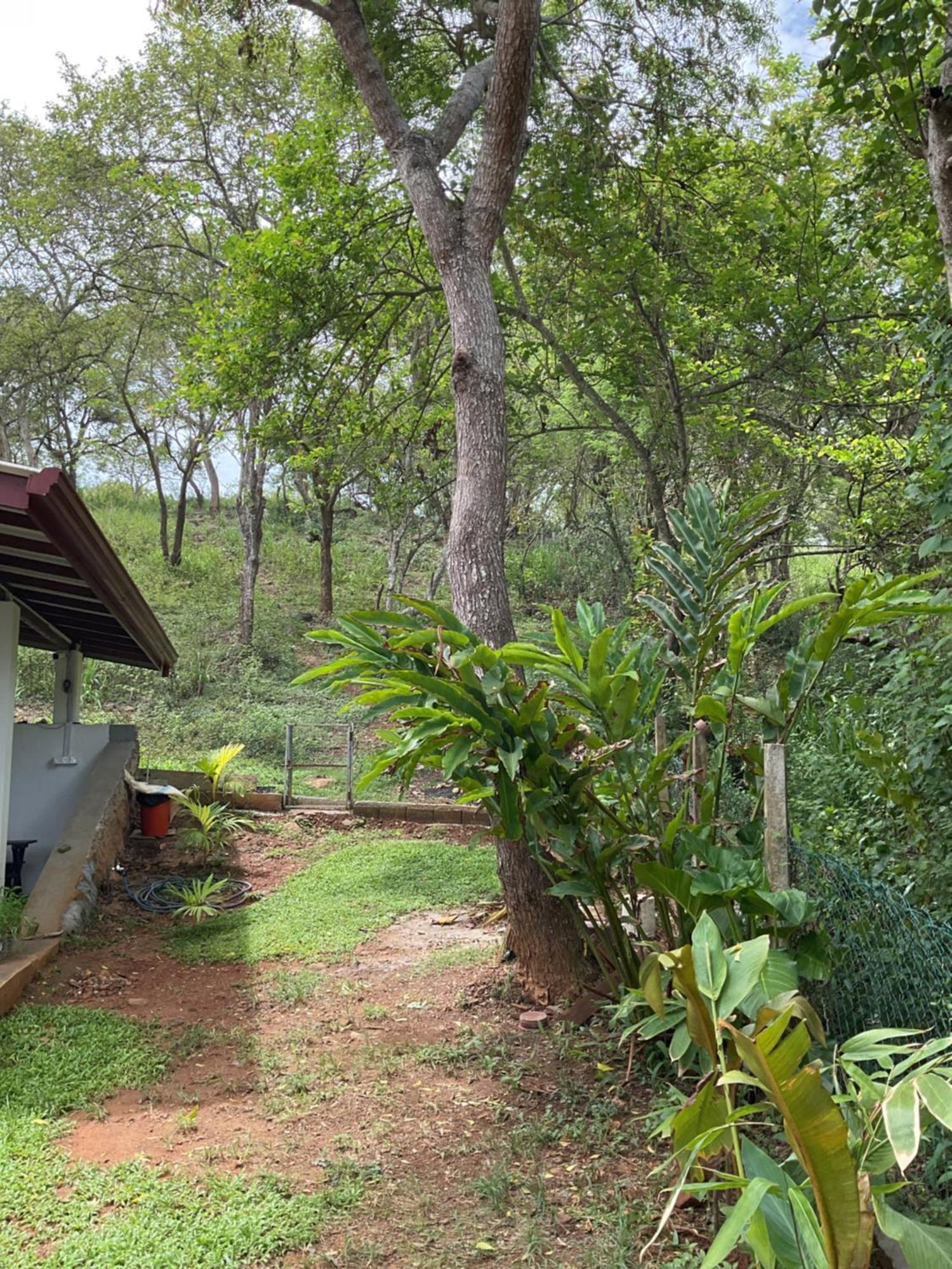 Rukaththana Unakuruwa *