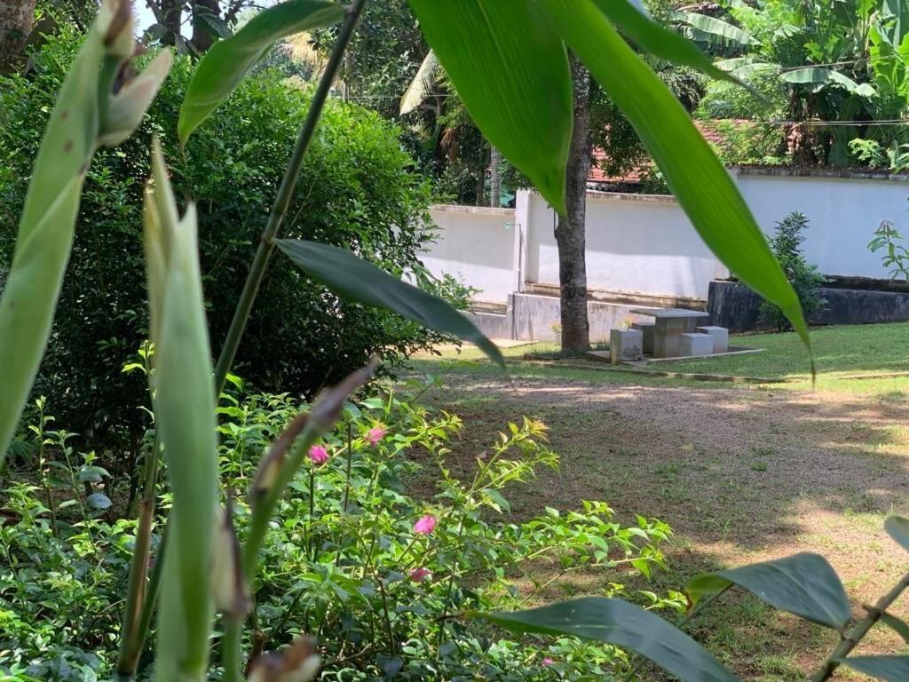 Rukaththana Unakuruwa *